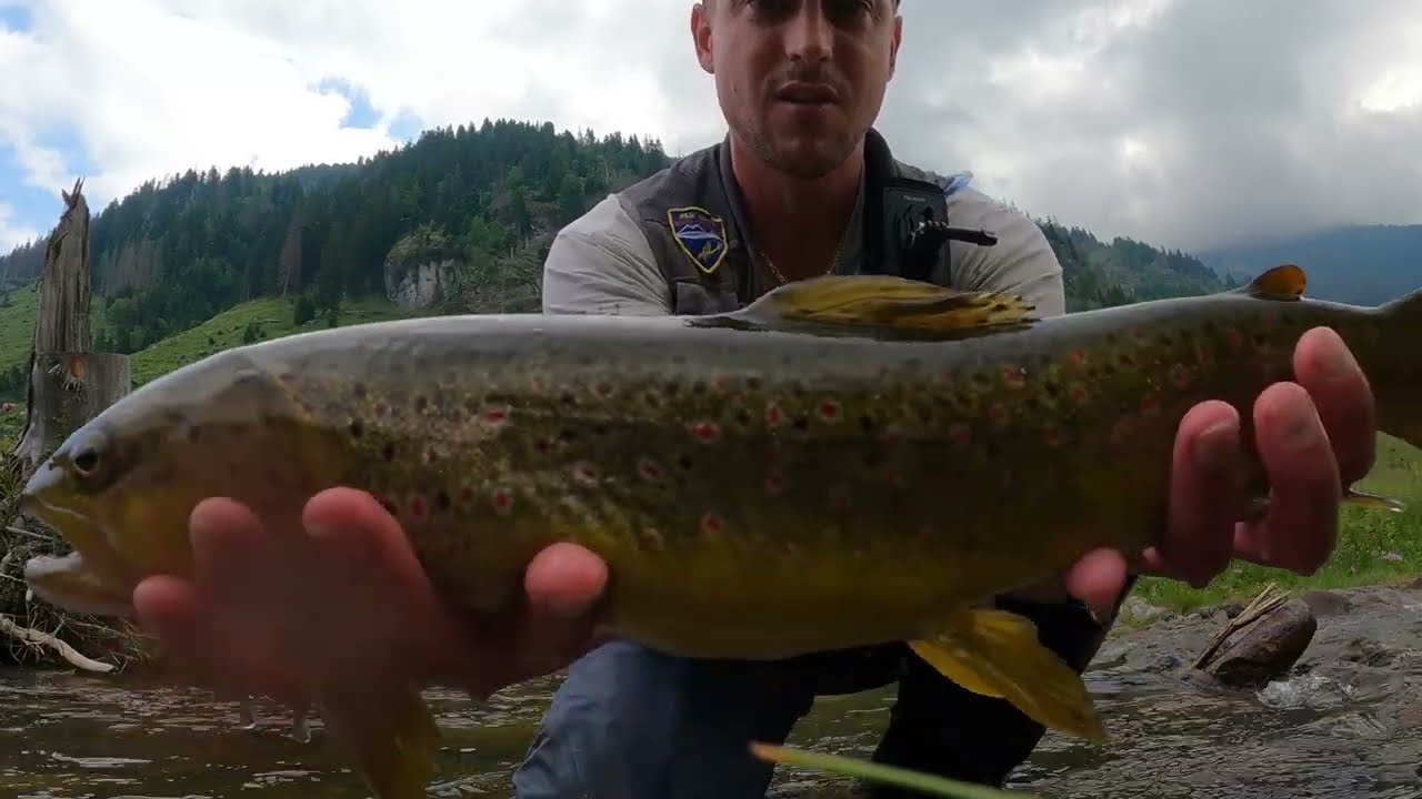 Giornata INCREDIBILE di pesca a Mosca Secca In Caccia( Parte1 di 3) DRY FLY FISHING