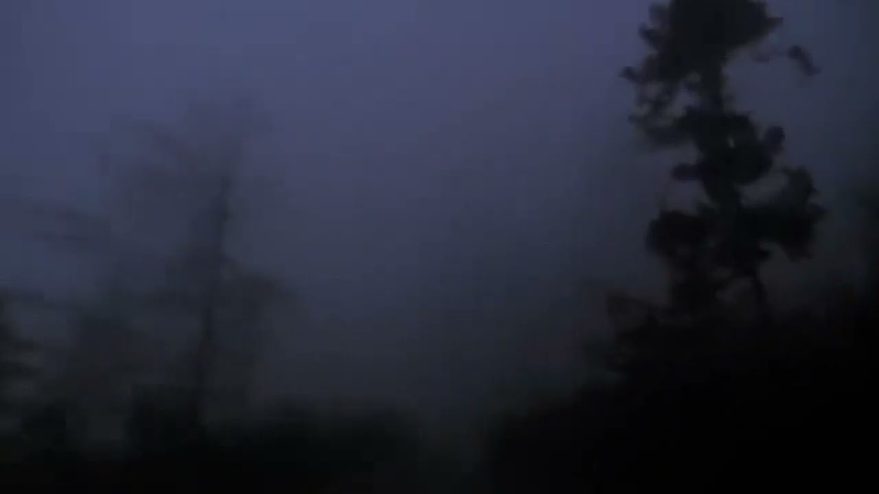 Низкая струна