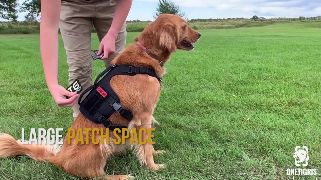 GLADIATOR Support Harness | OneTigris Pet Lifting Rehabilitation Vest