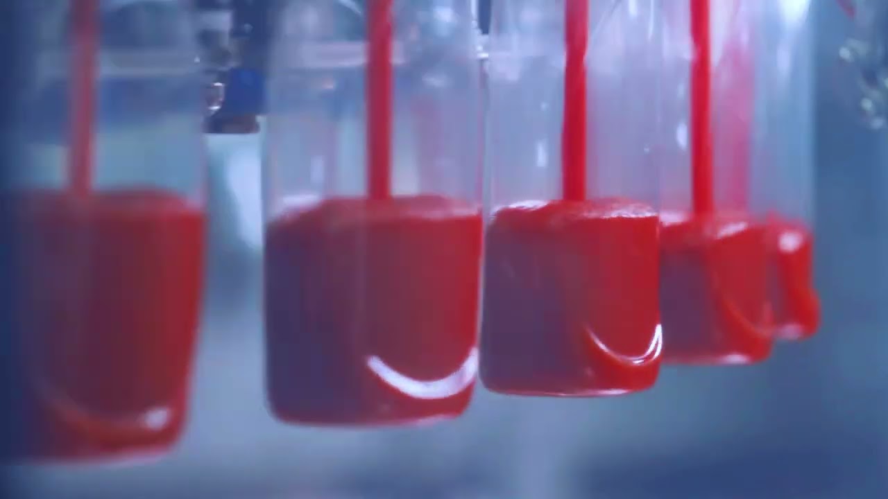 CFT Group - Ketchup Production and Packaging Line for Casalasco