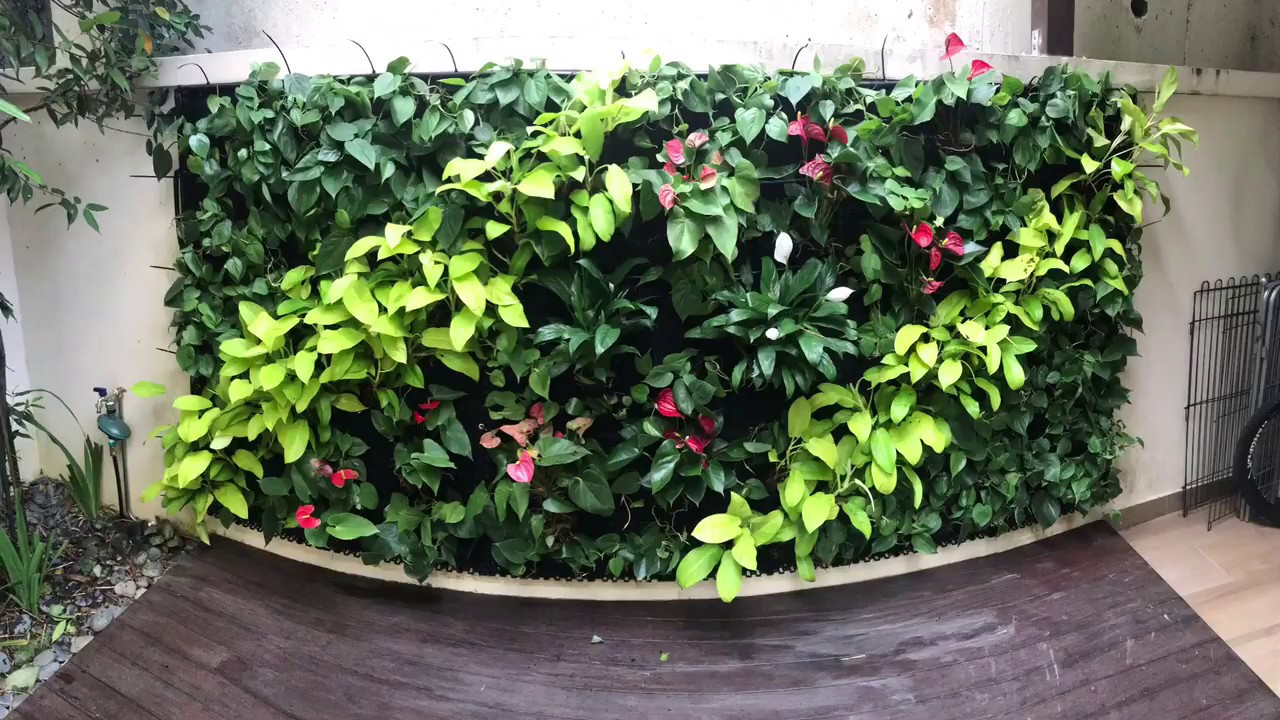 DIY Vertical Garden (Green Wall) with Automatic Irrigation