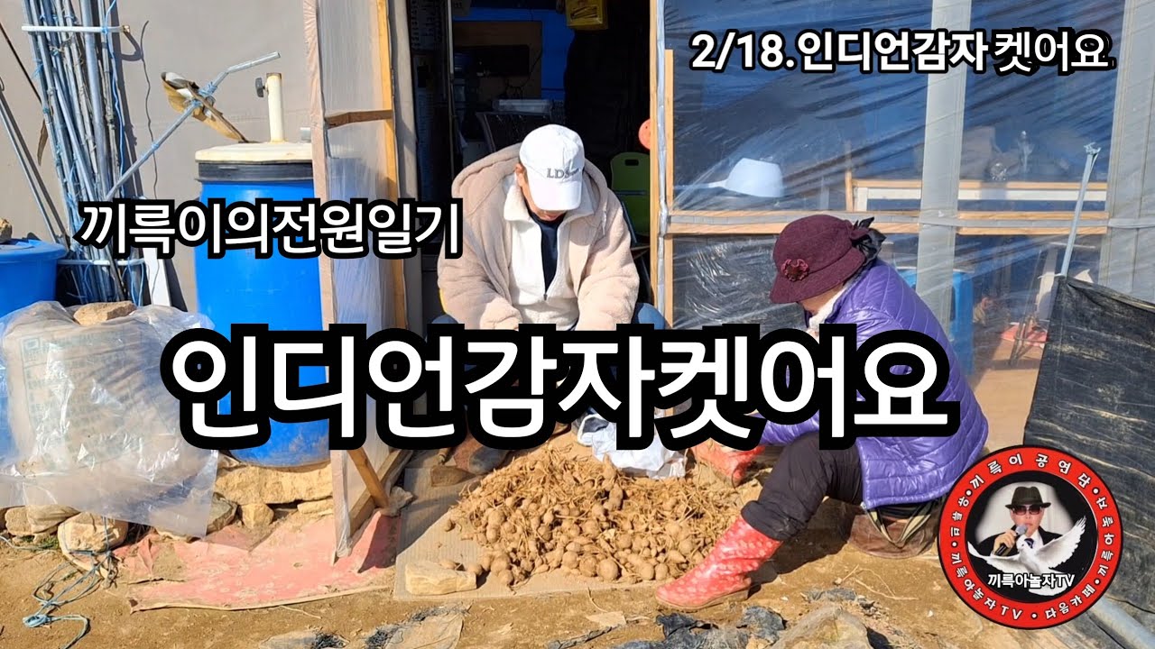 2.18.인디언감자 켓어요 /끼륵이의전원일기/끼륵아놀자TV 