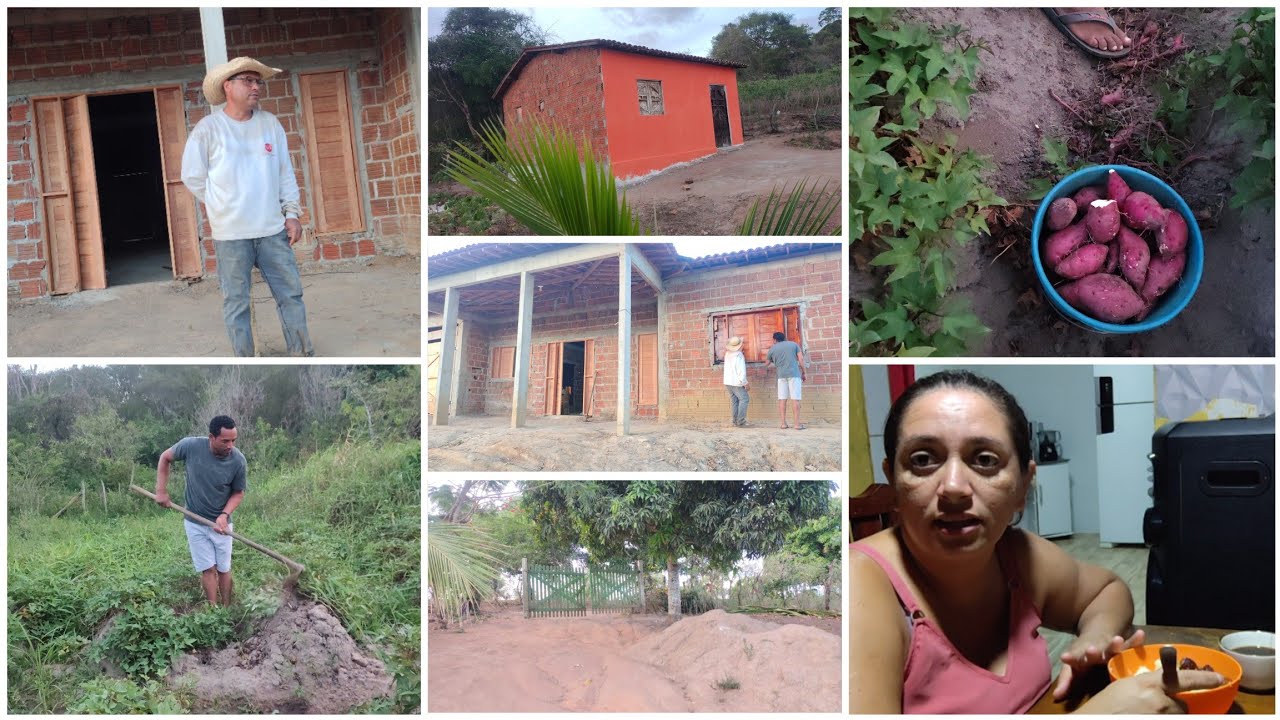 FOMOS COLHER BATATA DOCE MACAXEIRA NA ROÇA DO SENIVAL BUSCANDO CONHECIMENTO E PASSAMOS LÁ NO CANTOR