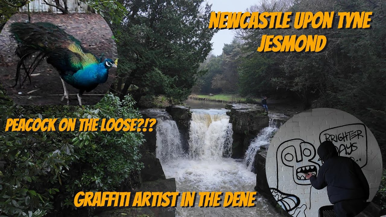 Newcastle Upon Tyne - Jesmond Dene & Osborne Road On A Wet & Rainy Day