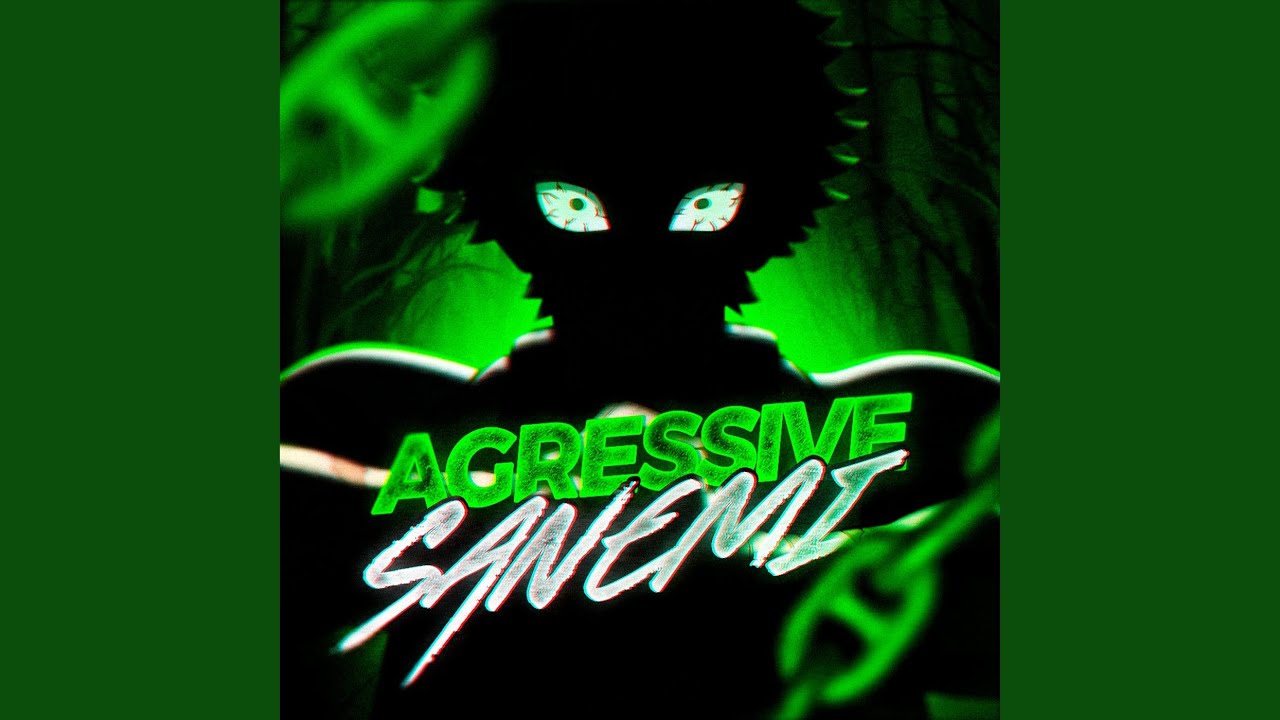 Agressive Sanemi