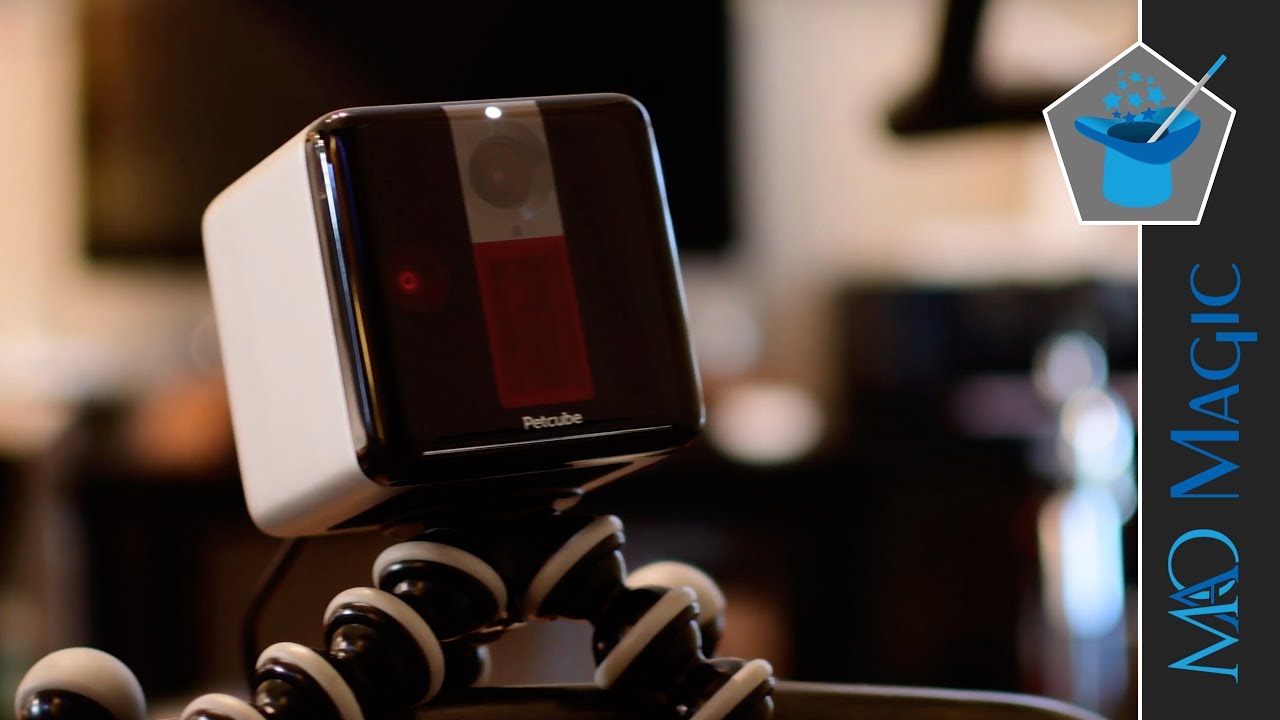 Petcube Lets You Watch, Talk, and Play with Your Pets from Anywhere