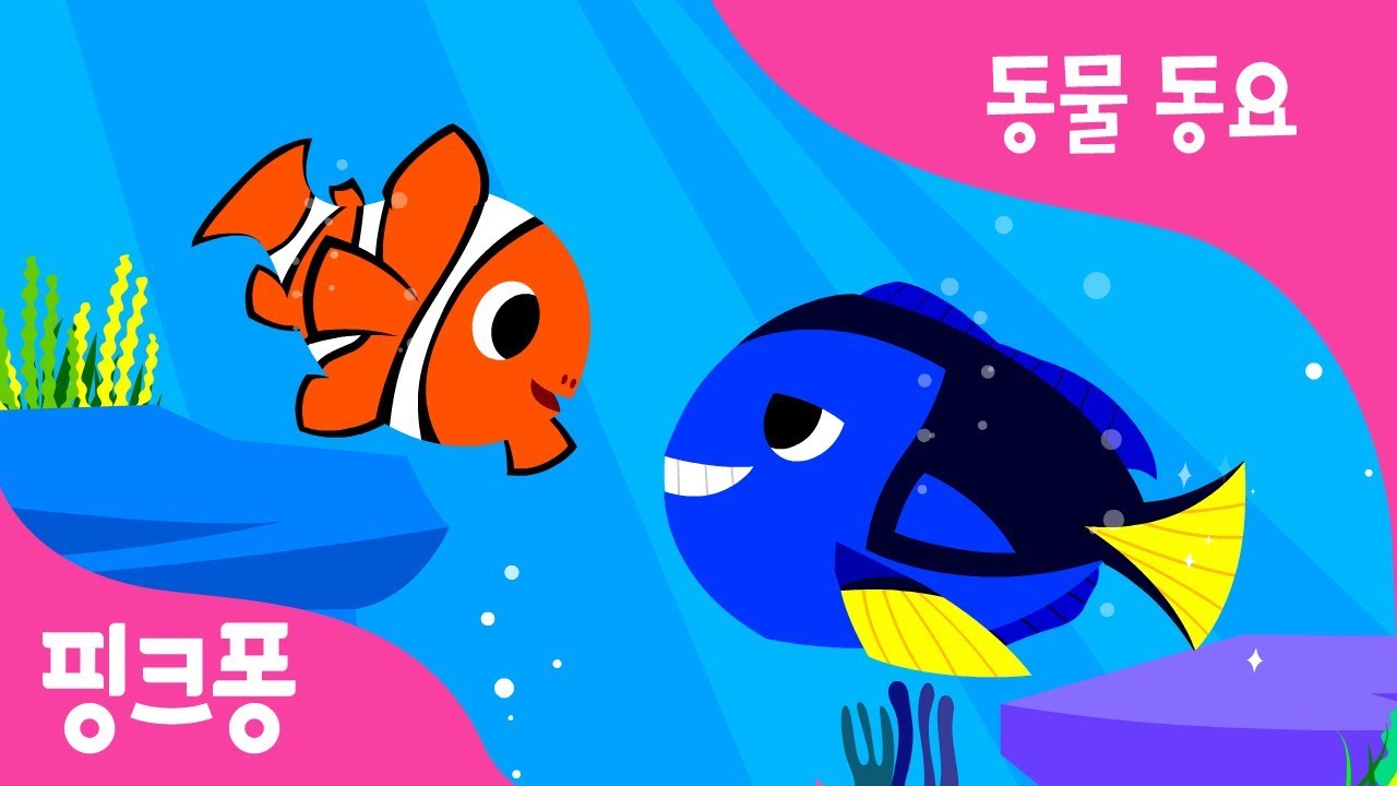알록달록 열대어 | 열대어송 | 동물 동요 | 핑크퐁! 인기동요