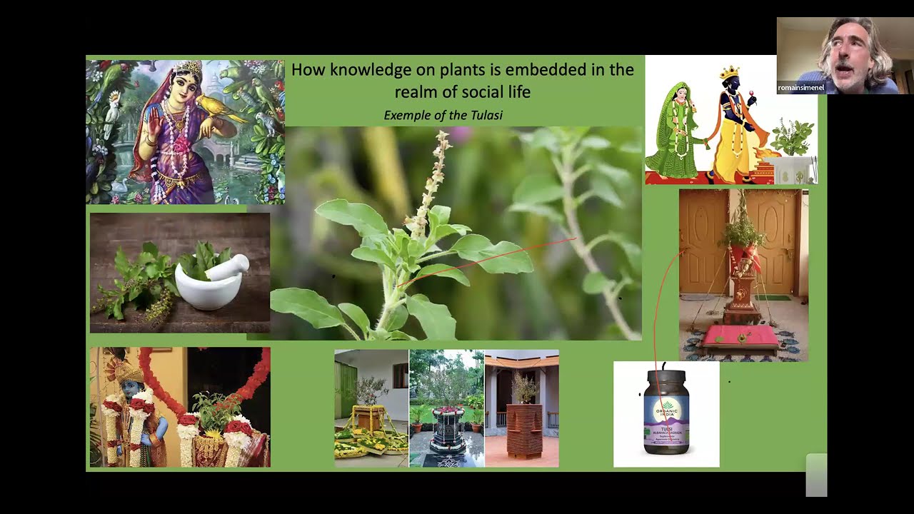 “Bridging Traditions and Learning: Ethnobotany in Nature-Based Education.”