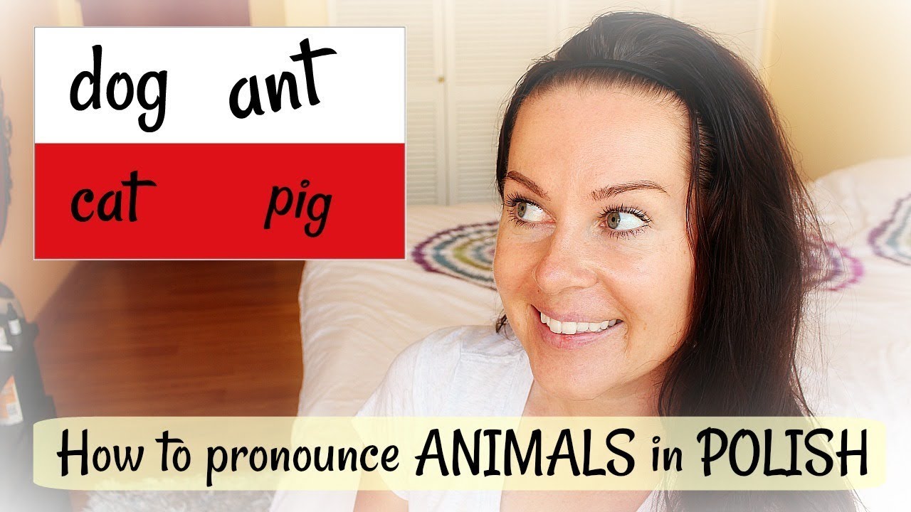 BASIC POLISH // Animals + Bugs