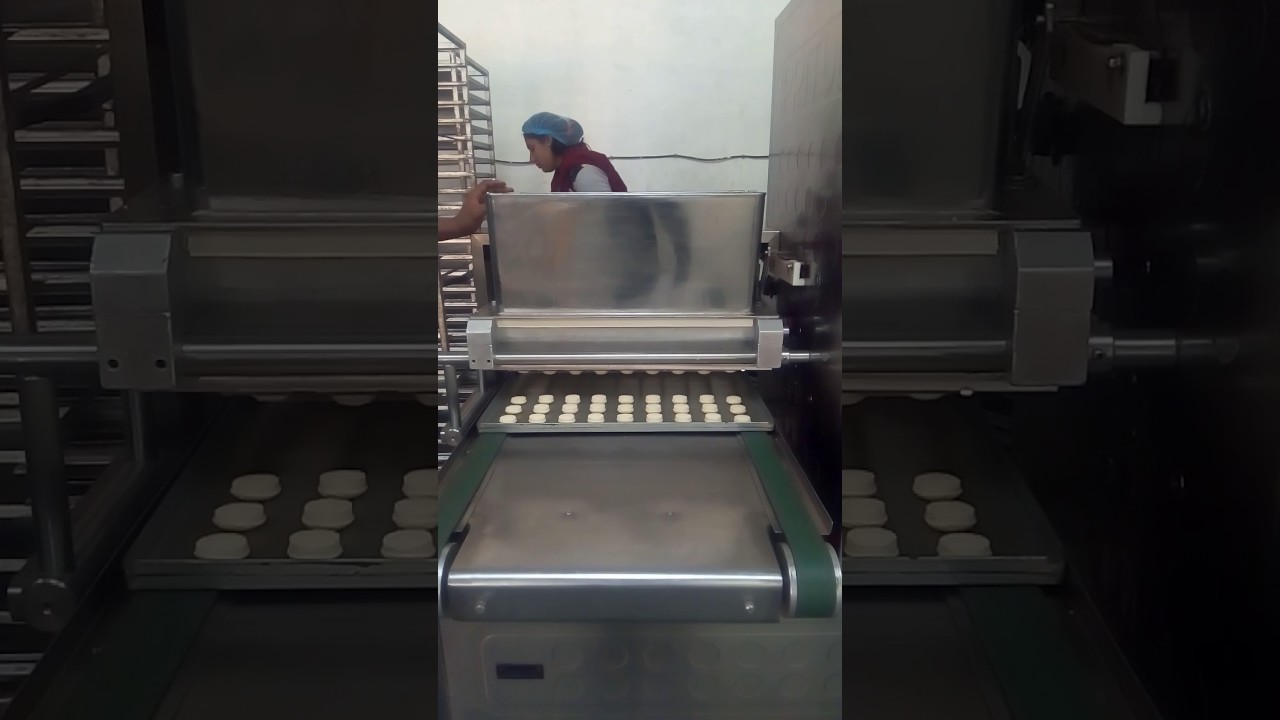Manav Tripathi  Pritul Machines-9557000410 Cookies Bakery  Biscuits Machines