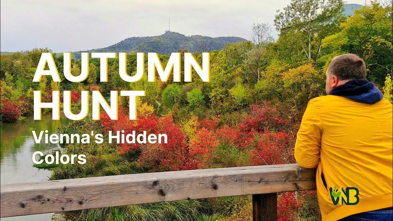 Finding the Perfect Autumn Vibe in Vienna | My Secret Hike Along the Marchfeldkanal