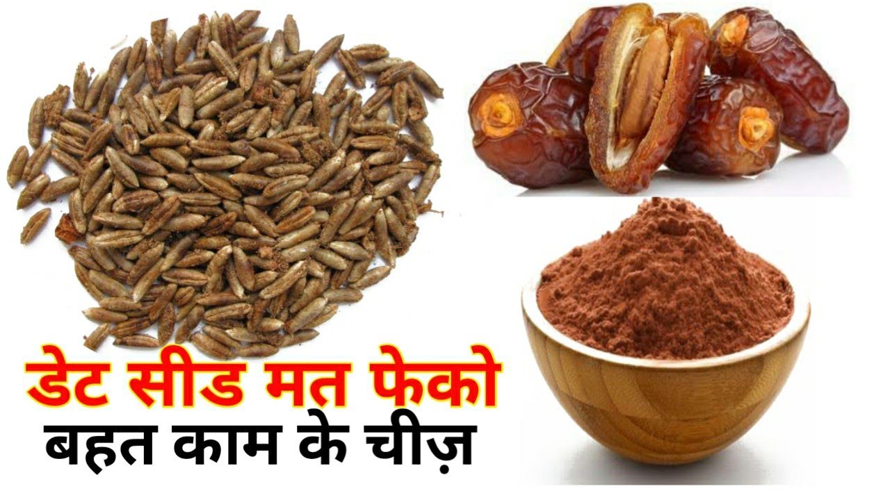 खजूर खाने के बाद सीड को मत फेकिये-इसका ब्याबहार देखने से आप चोक जायेगे। DATE SEED KA UPJOG