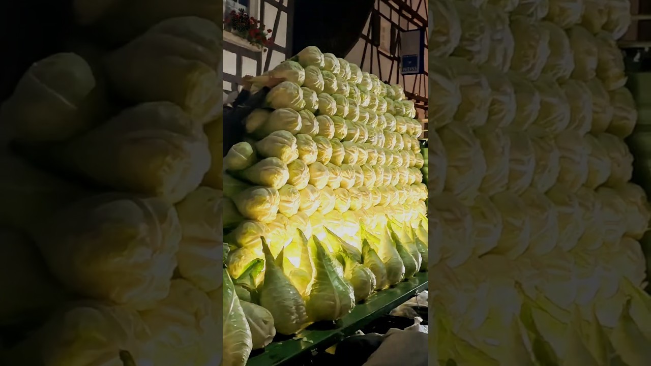 Krautfest 2025 in Leinfelden-Echterdingen - Cabbage Festival