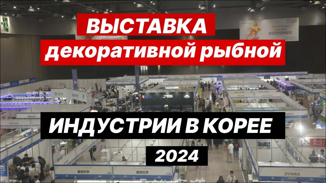 Съездили на Корейскую выставку декоративной рыбной индустрии 2024