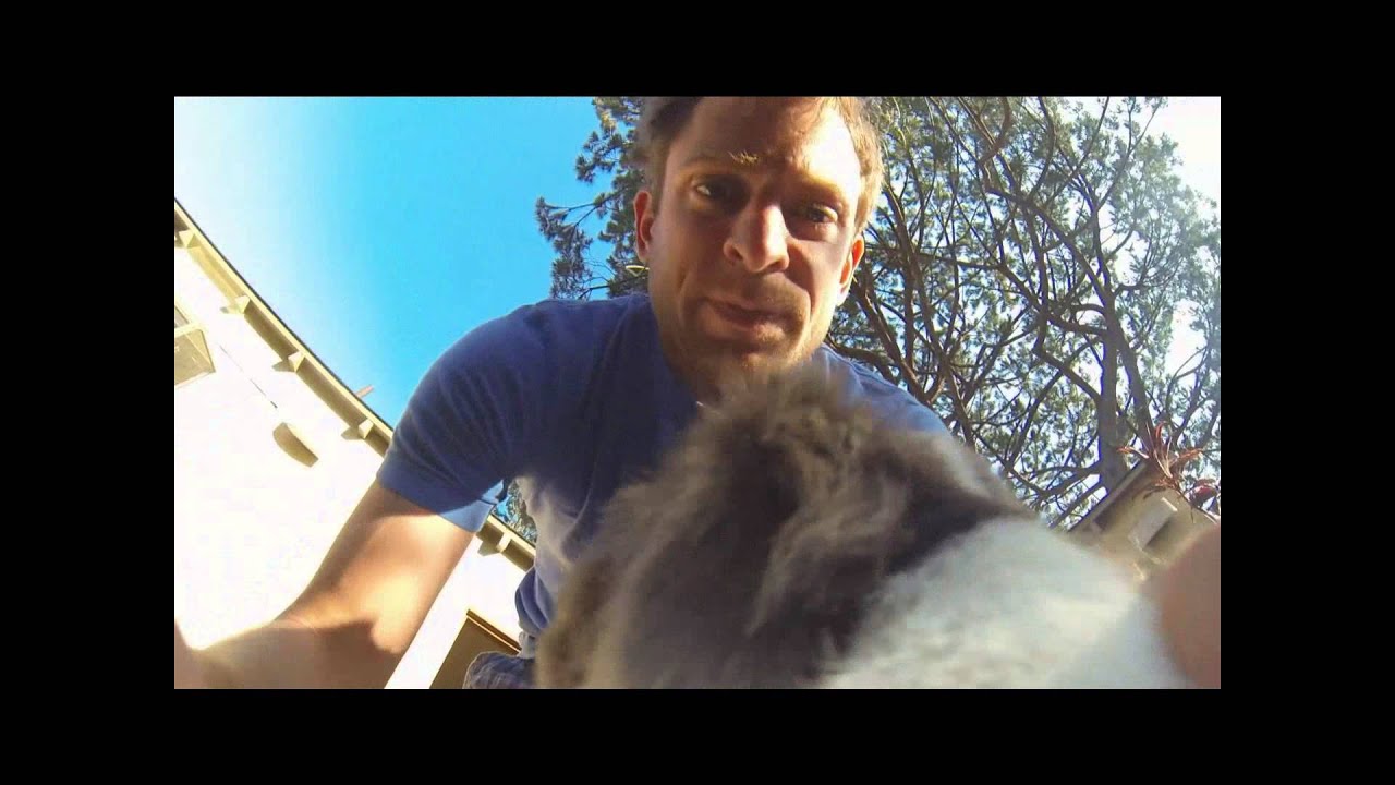 Tank - Backyard Agility