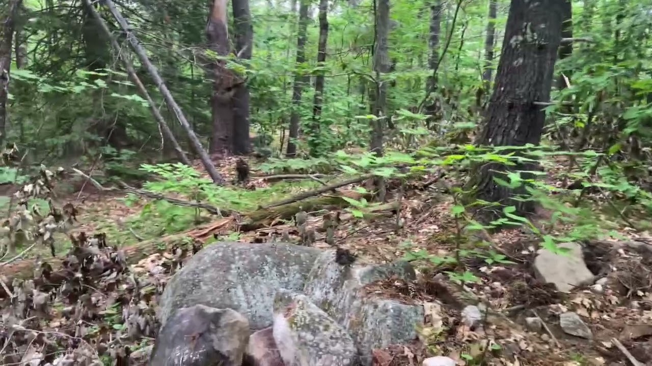 3 Old Town Road, Madison, NH