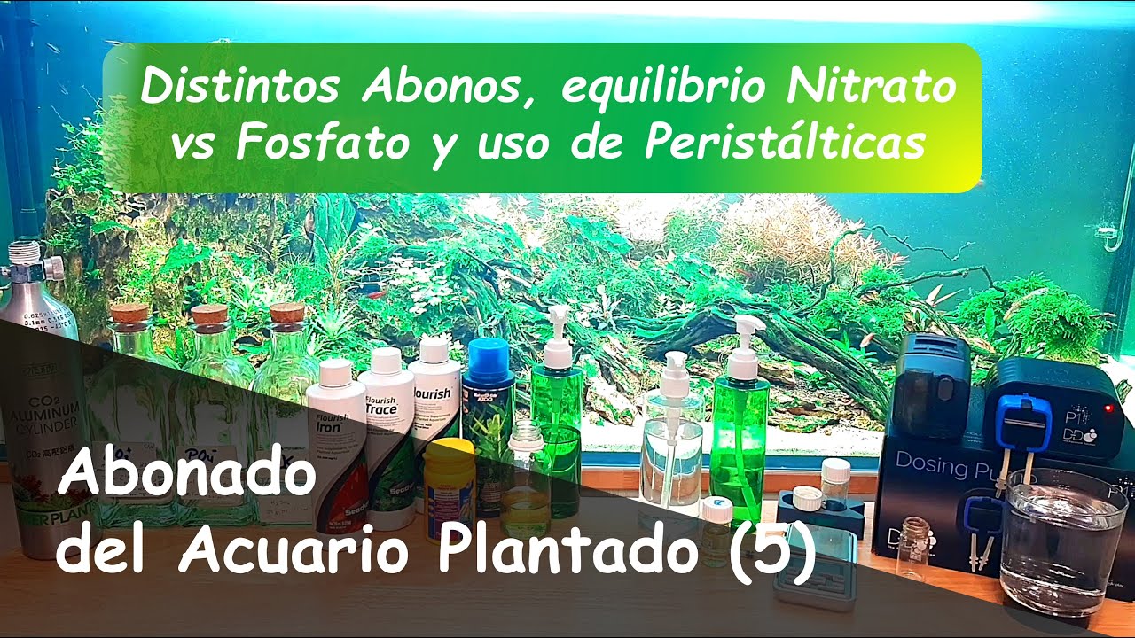 Cómo Abonar los Acuarios Plantados #5: NO3/PO4 Vs Crecimiento de Algas y Automatización del Abonado