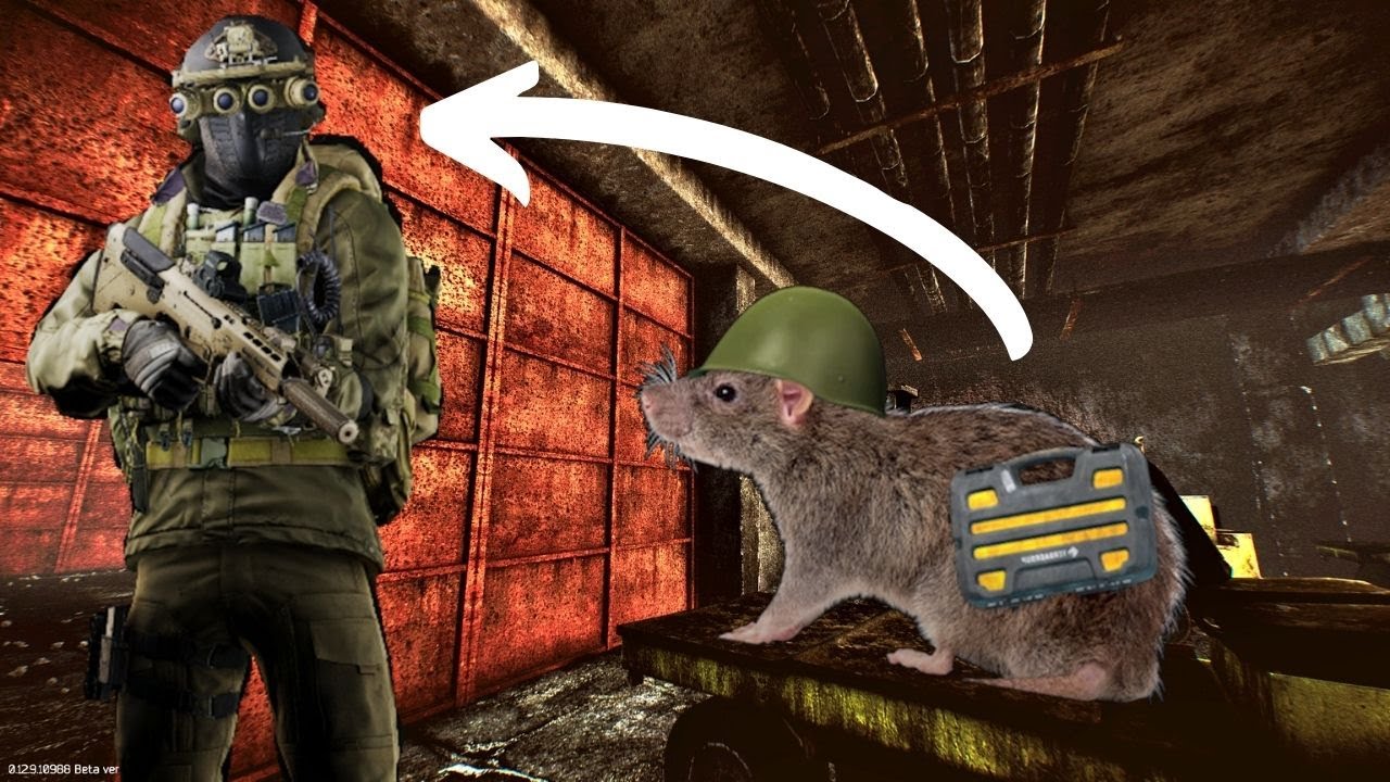 Tips to Becoming a Chad | Escape From Tarkov (Guide)