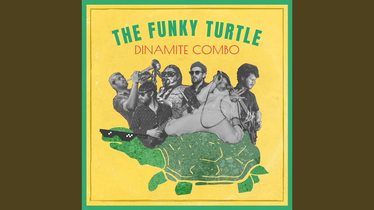 The Funky Turtle