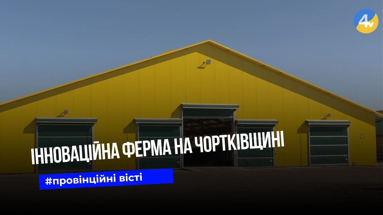У селі Звиняч на Чортківщині є ферма, яка впроваджує інновації відповідно до міжнародних стандартів