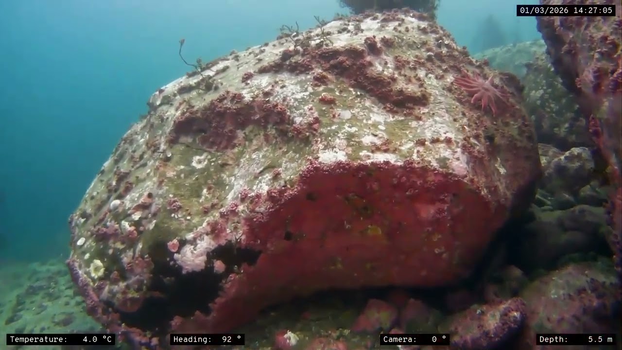 Selfjorden/Sund, Norway - MS Spitsbergen - 1st of March 2026