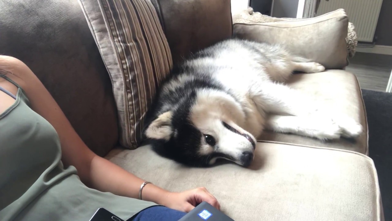 When you just can’t get comfy
