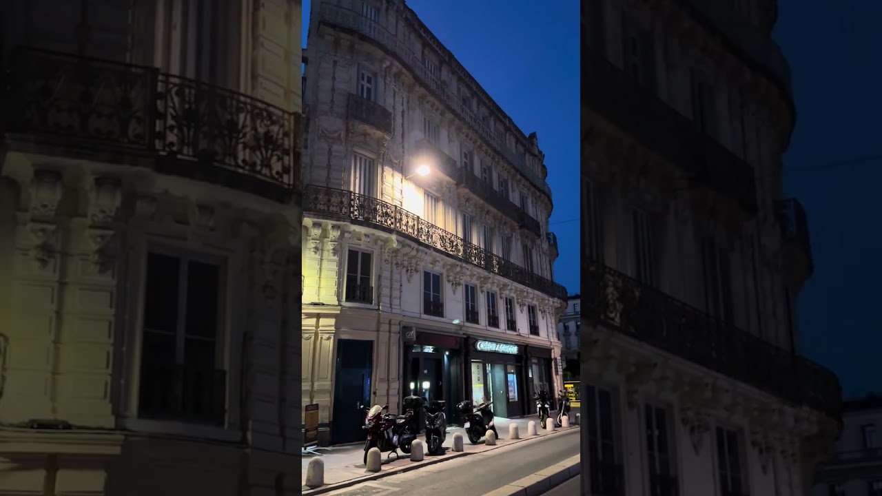 Falling in Love with Montpellier  #montpellier #france #travel #traveling  11