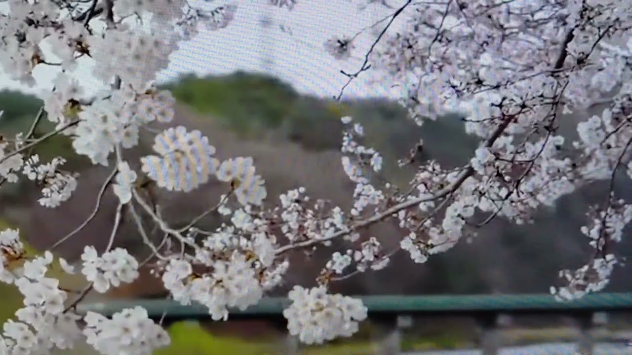 ۸ ژانویهٔ ۲۰۲۶
