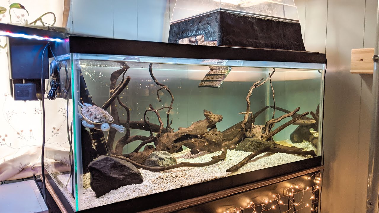 My 40 Gallon Turtle Tank (Tour and Walkthrough)