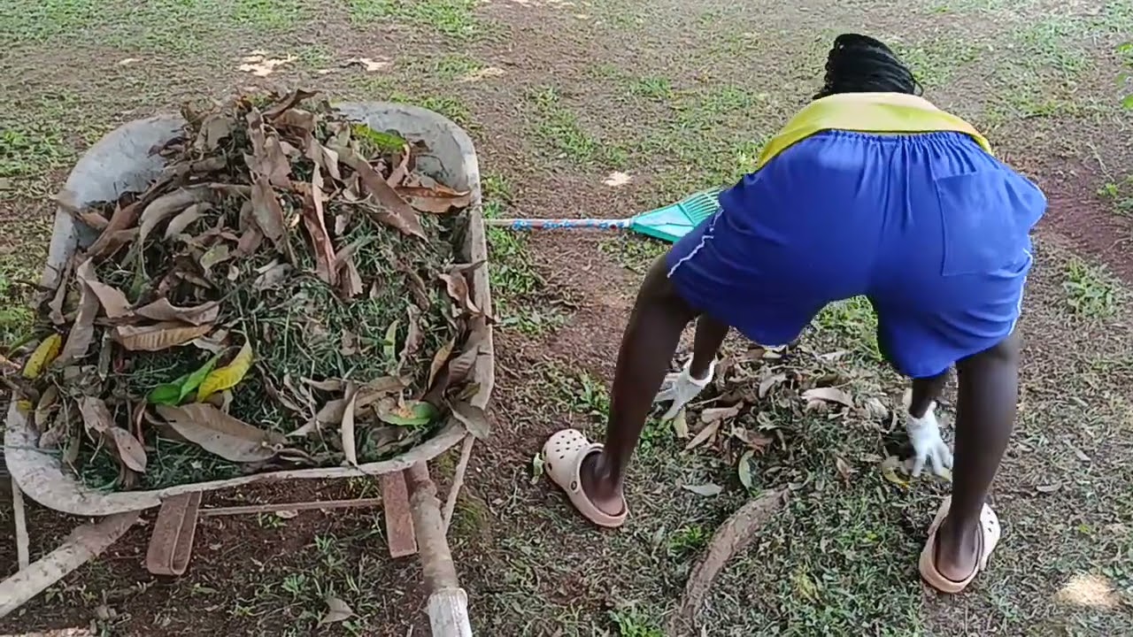 Holiday series # some daily chores