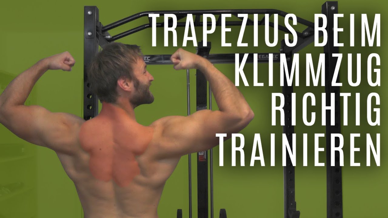 Richtige Ausf&uuml;hrung beim Klimmzug &ndash; Trapezius trainieren &ndash; Klimmz&uuml;ge richtig lernen