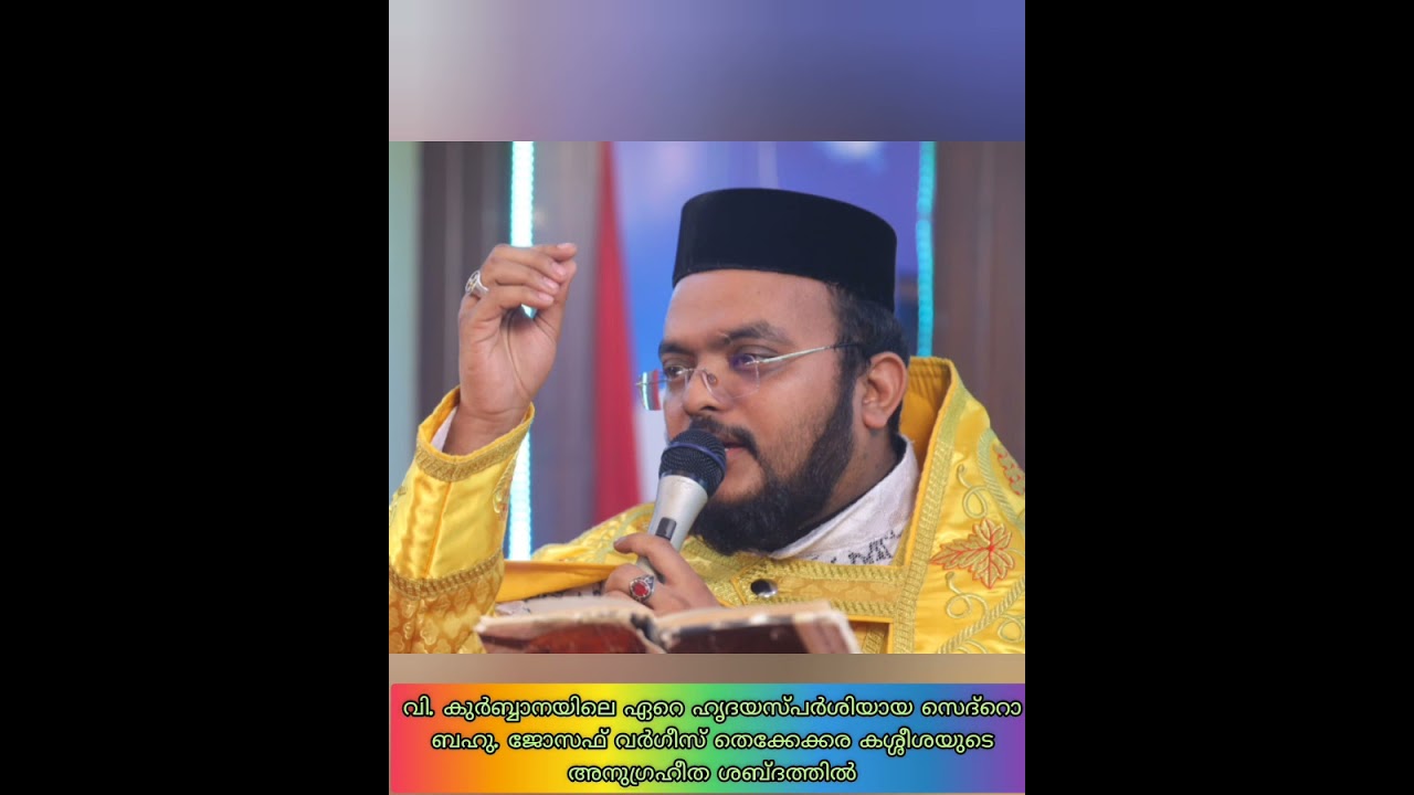 Fr. Joseph  Varghese Thekkekkara Sedhro