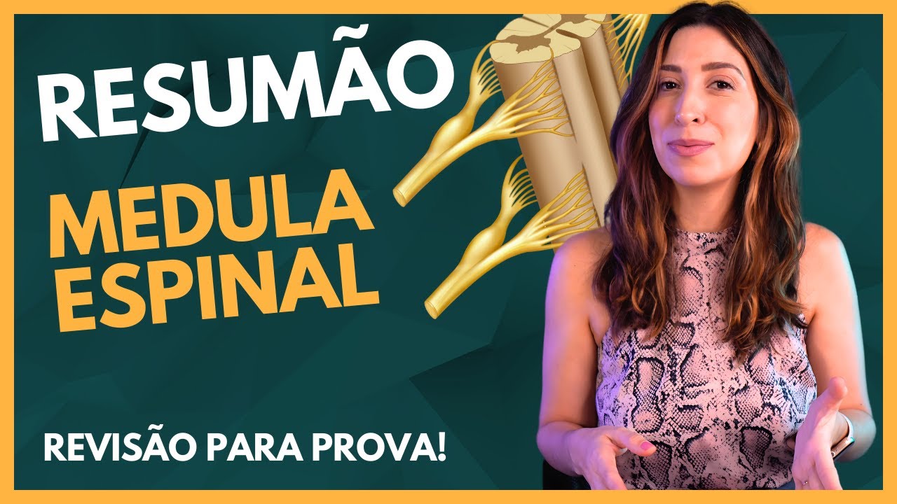 Resumão: MEDULA ESPINAL! Sistema Nervoso