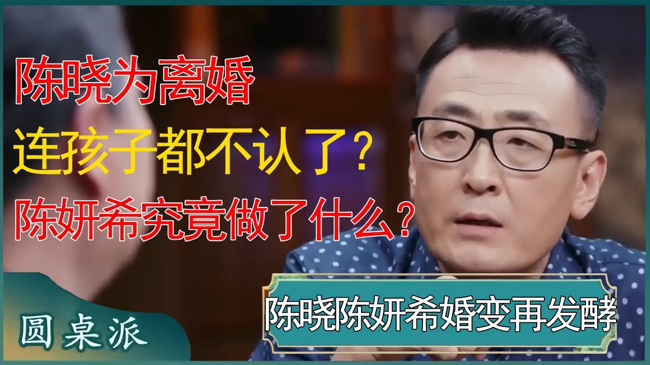 陈晓为离婚连孩子都不认了？陈妍希究竟做了什么？ #窦文涛 #梁文道 #马未都 #周轶君 #马家辉 #许子东 #圆桌派 #圆桌派第七季