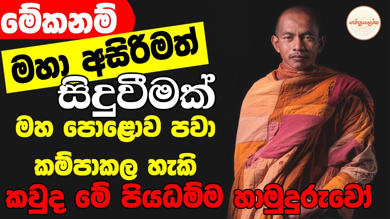 අද කාලයේත් මෙහෙම දේවල් දකින්න අපි කොච්චර පින් වන්තද​? -walk for Peace America