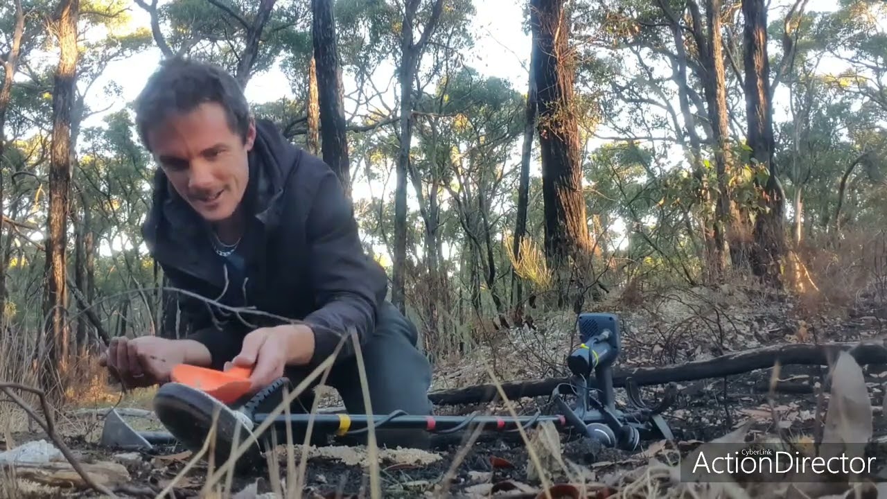 Chasing shiny on burnt ground, with the Mighty Gold Monster 🔥🤙⛏