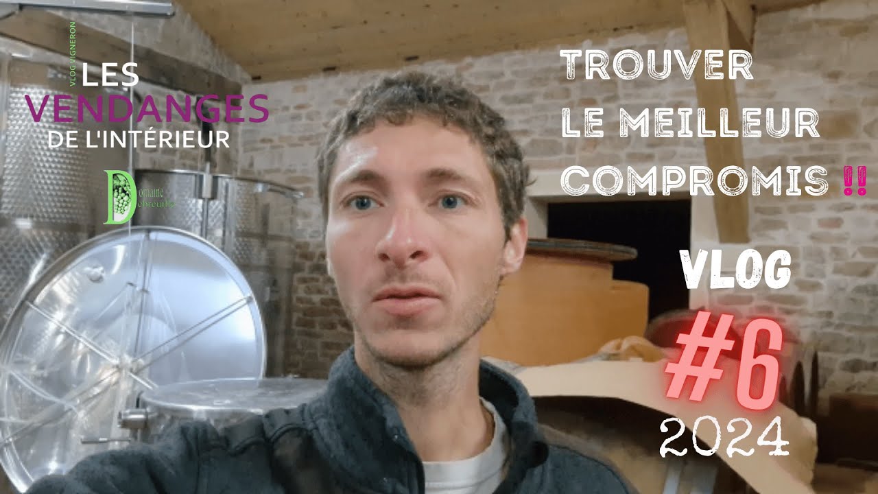 Vlog vigneron #6 : Vendanges 2024 / C'est parti ! / Faire des compromis / Bourgogne Rouge
