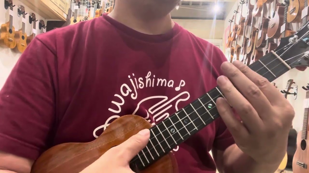 KoAloha KSM02-UPT