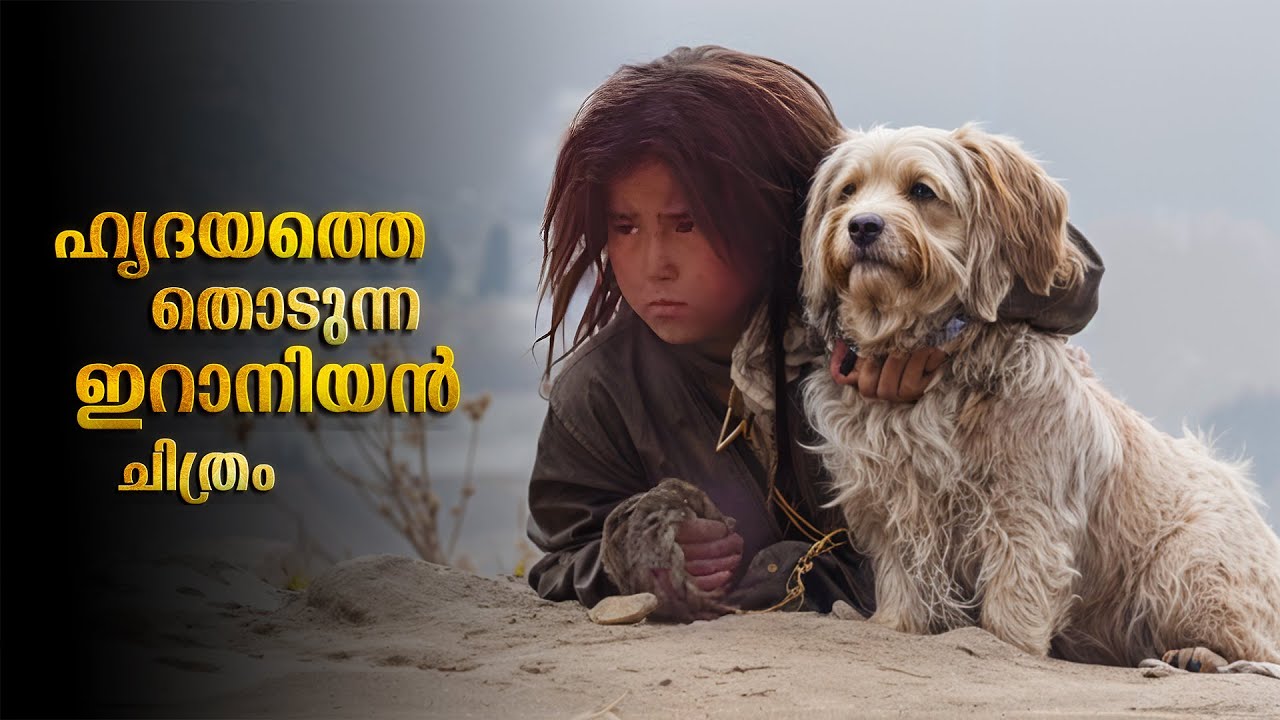 Persian Movie Explained In Malayalam | Iranian Movie Malayalam Explanation #malayalam #movie #new