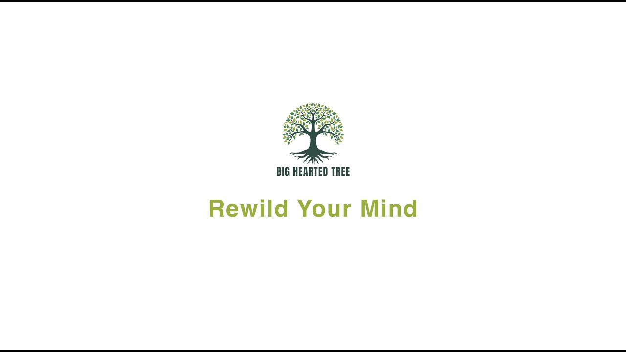 Rewild Your Mind | 2-Minute Nature Immersion | For Creativity Boost