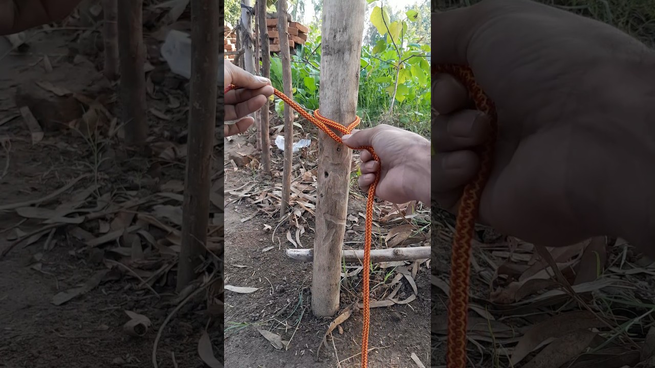 A New Way to Tie Rope with a Vertical Pole for Vegetable Fence 🌱 