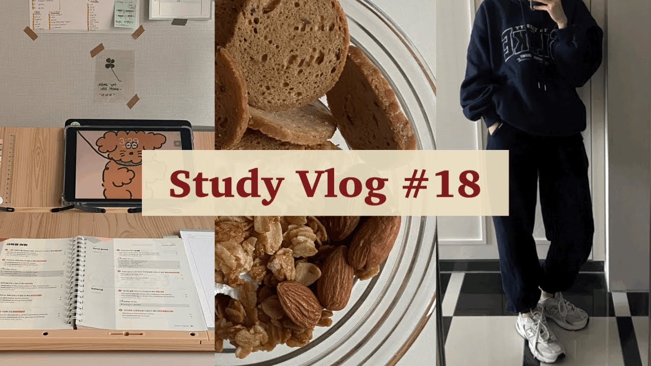 [공시생브이로그#18] 외출 그게 뭔데 | 집공 지박령 | 살짝 정신 차린 재시생 | 공시생룩 하울