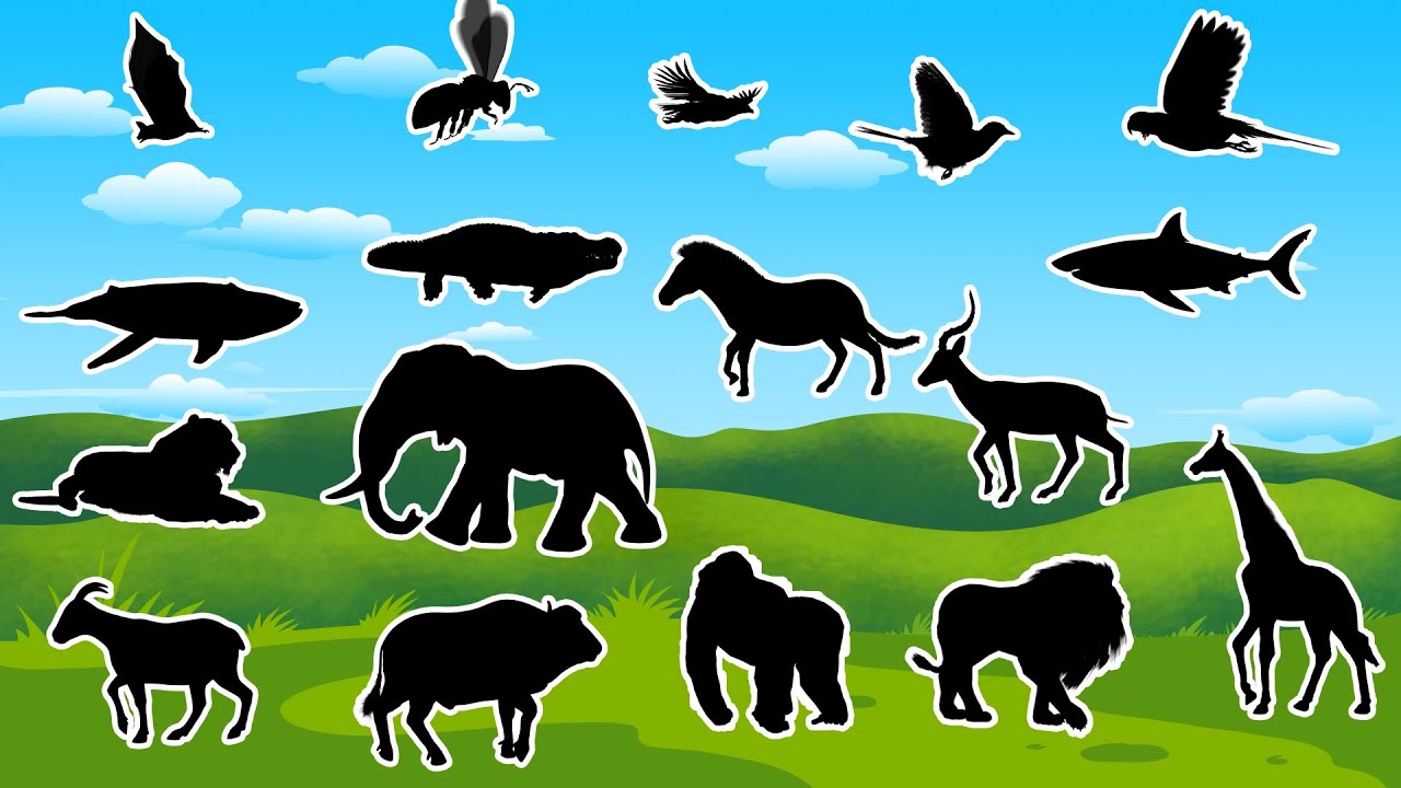 Descubra o Animal Escondido na Sombra! Desafio Incrível