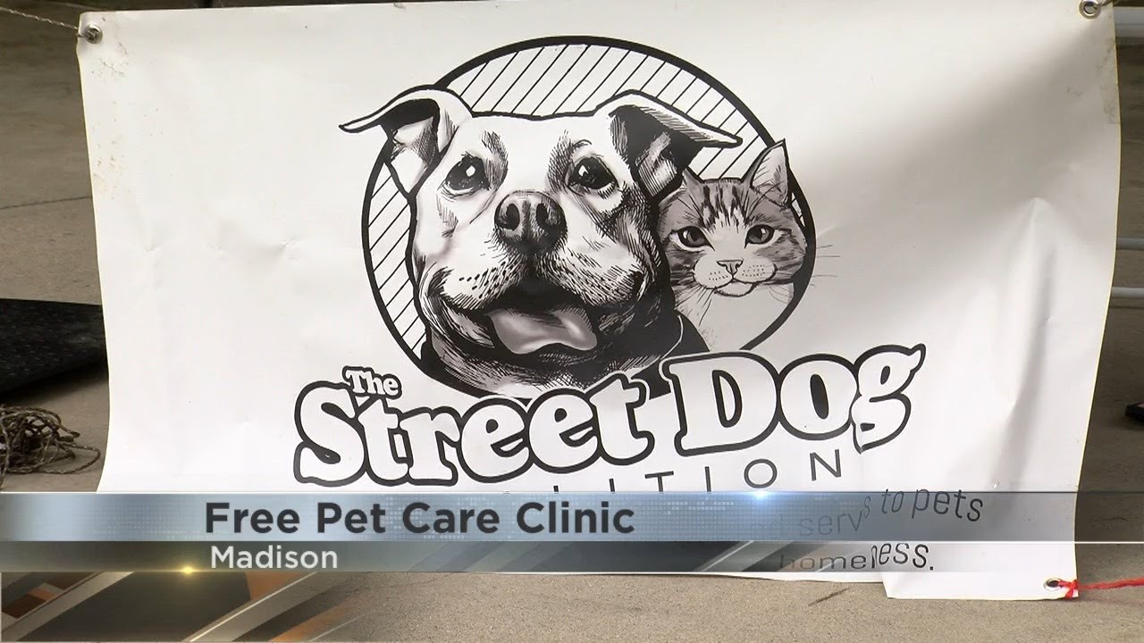 Free pet care clinic offered in Madison