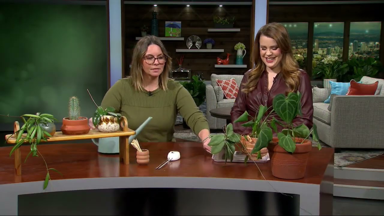 Erin Harding Answers the Question 