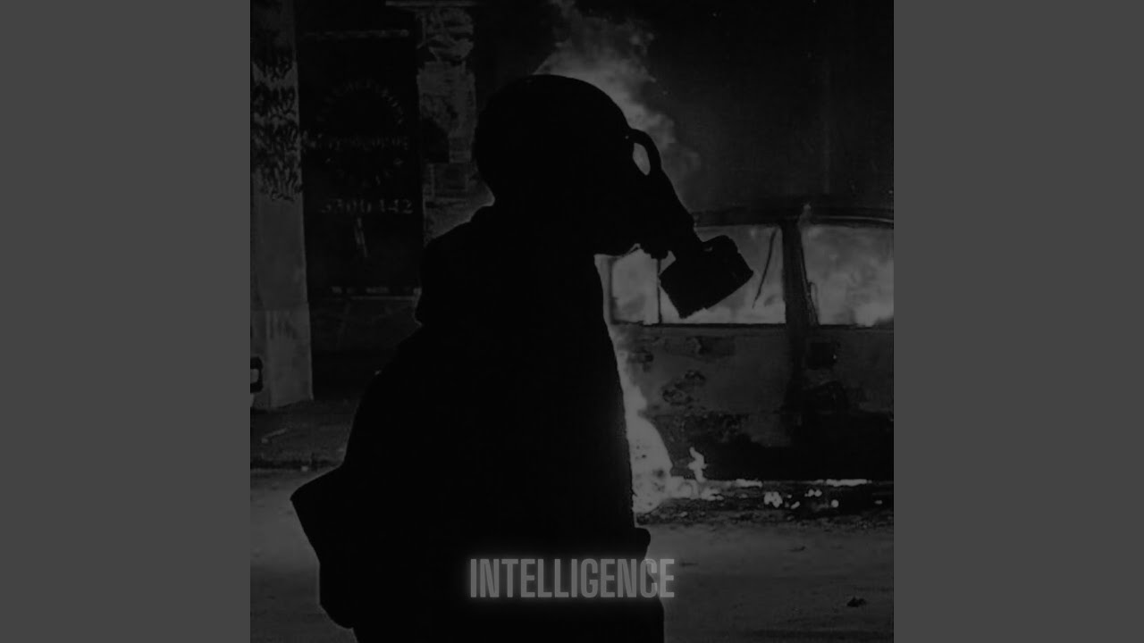 Intelligence