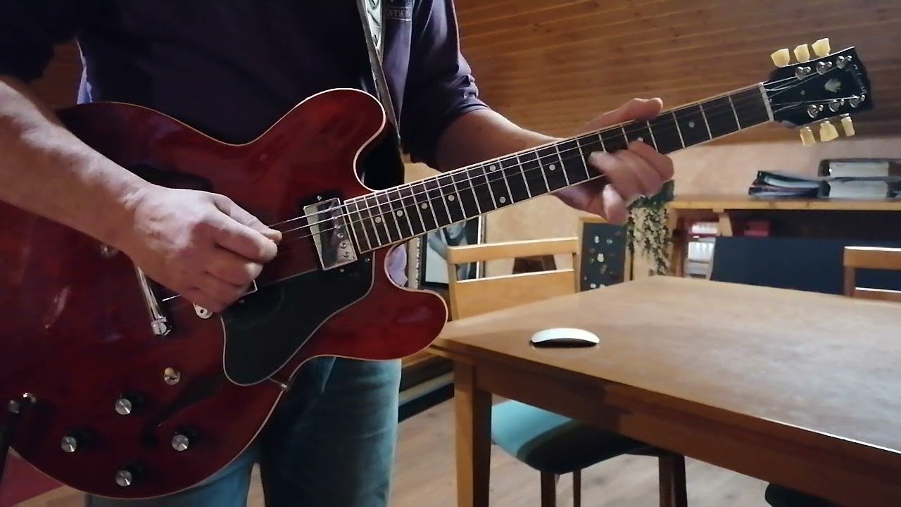 Johnny Winter - Bony Moronie live- Guitar Cover by Tomás