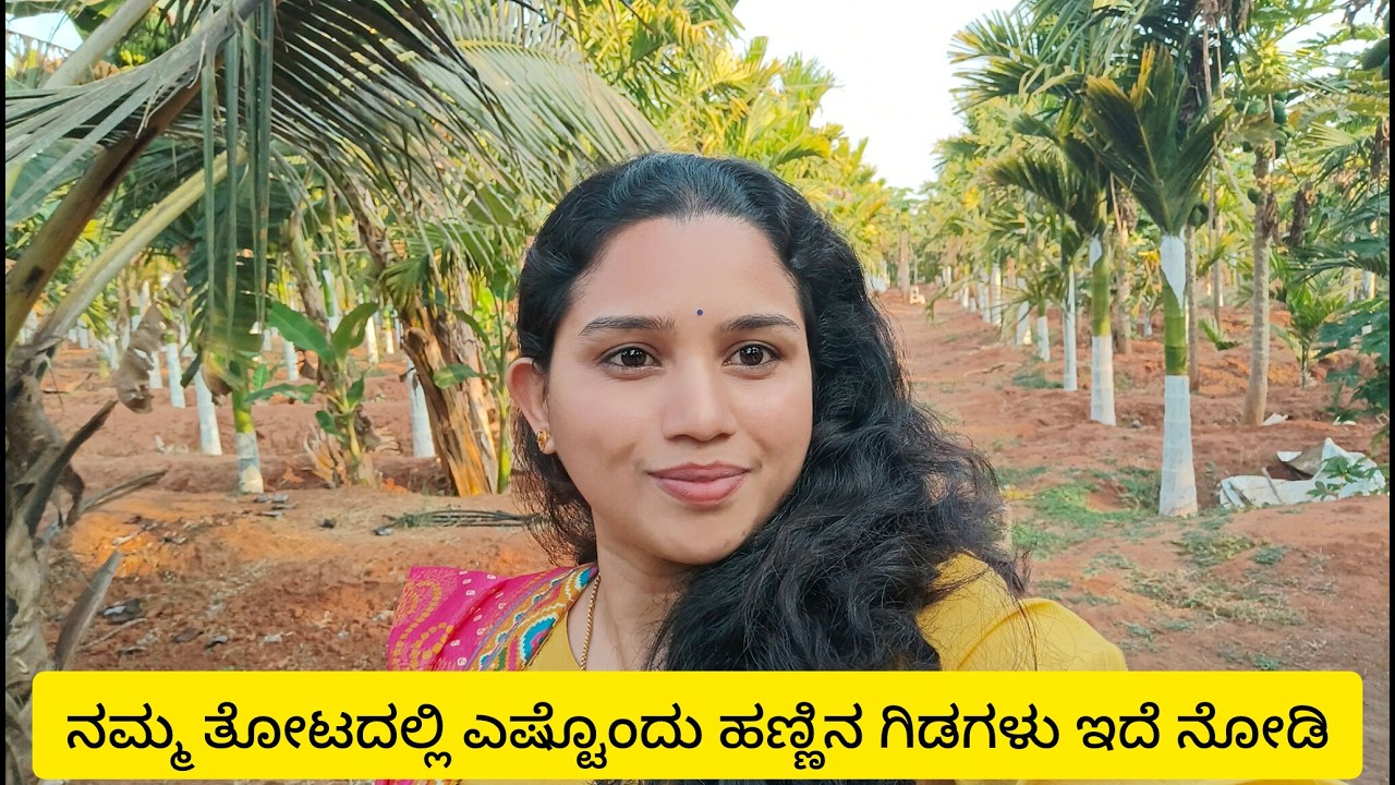 ನಮ್ಮ ಐದು ಎಕರೆ  ತೋಟ  ಹೇಗಿದೆ ನೋಡೋಣ ಬನ್ನಿ 😍🧿
