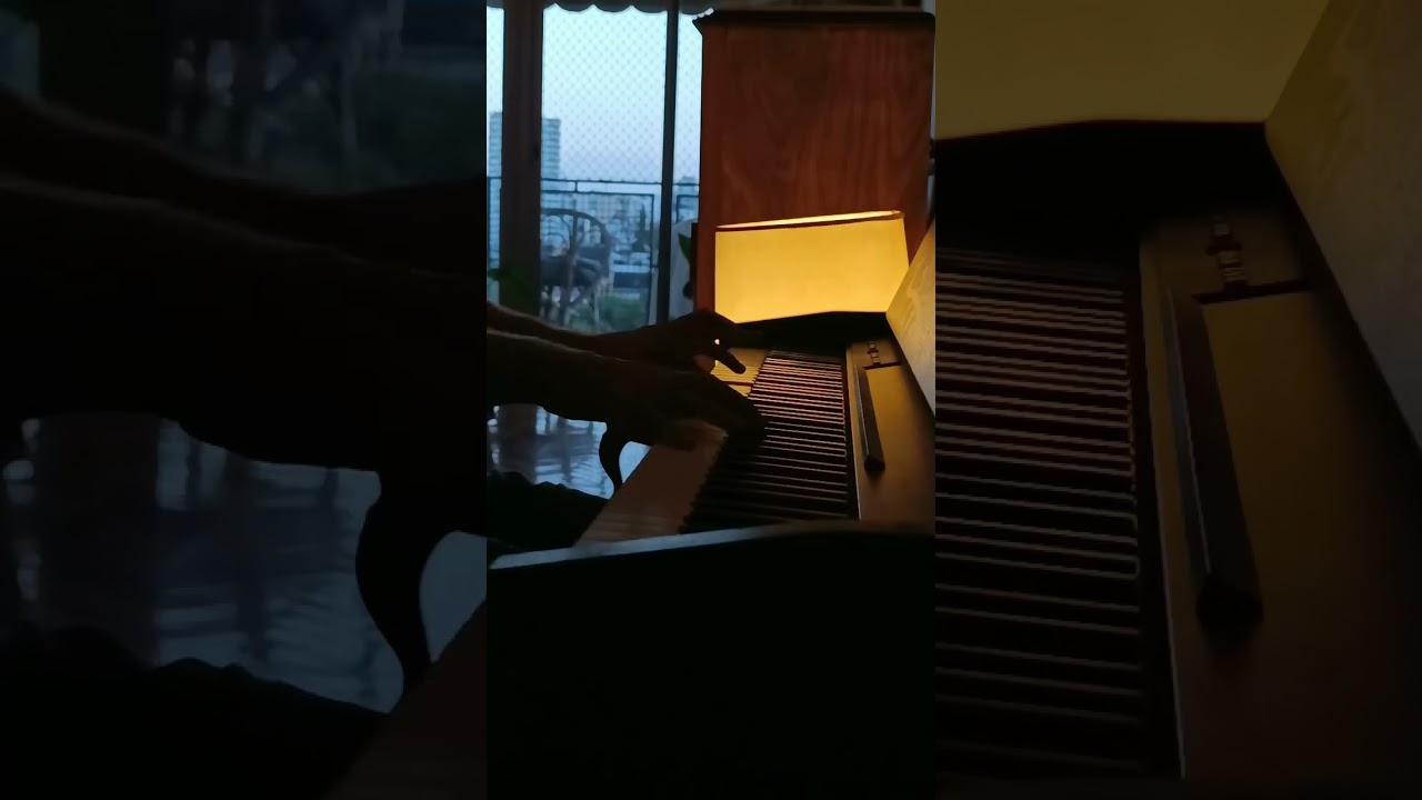 Merry-go-round of life on piano - Howl's moving castle #piano #pianocover #howlsmovingcastle #fyp 