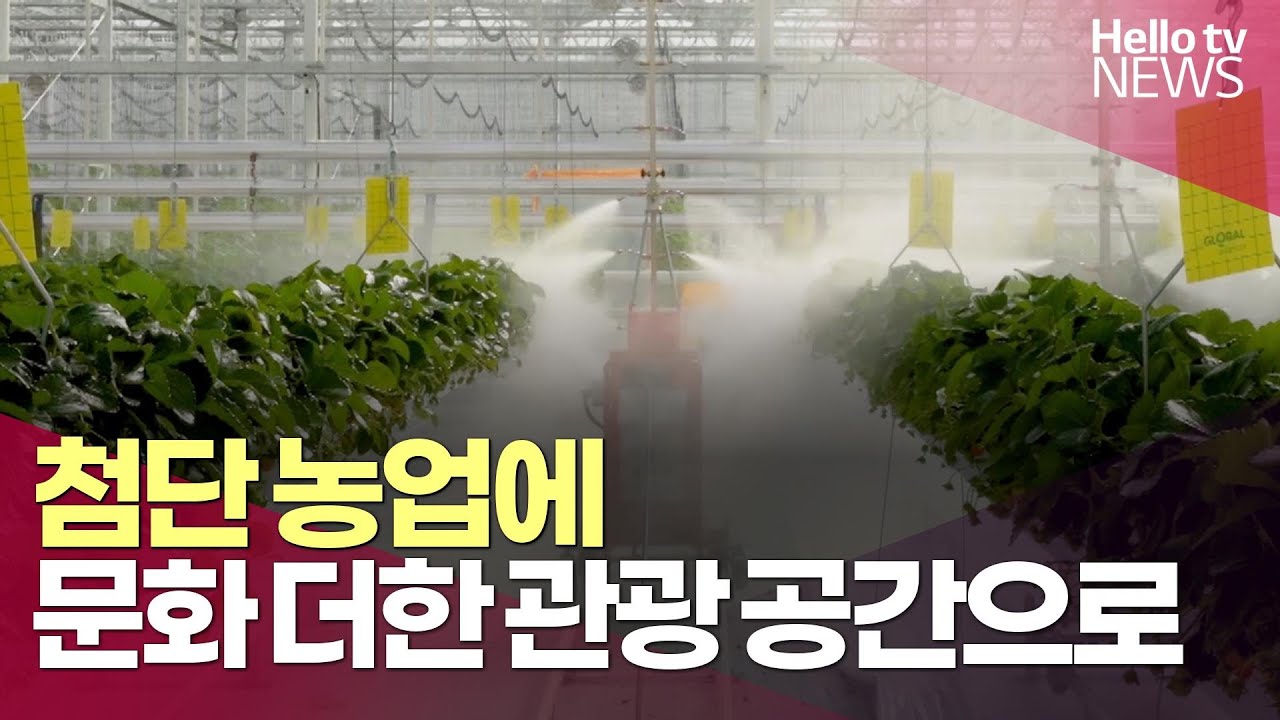 첨단 농업에 문화 더한 관광 공간 조성한다&hellip; 청송 스마트농업 단지ㅣ#헬로tv뉴스